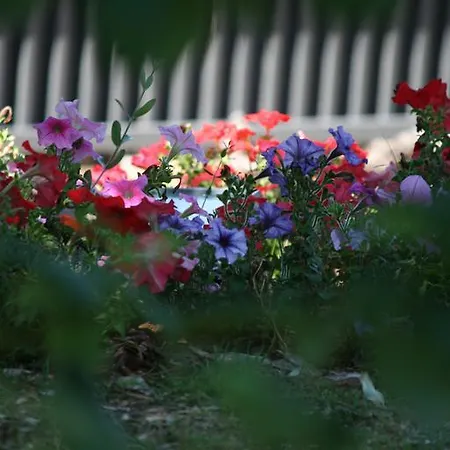 Bed & Breakfast Bcn-collbato Natura *
